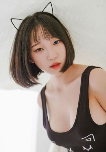 真心英雄免费观看全集_4K免费观看超清