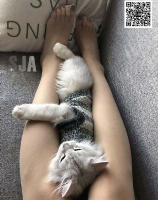10000部免费视频_4K影视在线观看