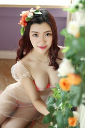 狙击电视剧免费全集_高清完整版免费在线观看