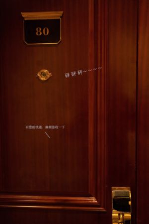 亲密搭档电视剧免费观看全集_普通话在线观看