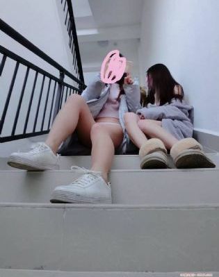 犬勇者物语_BD电影在线看